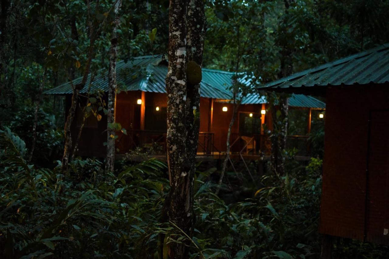 Monsoon Retreats Ecostay- Treehouse Thekkady Extérieur photo