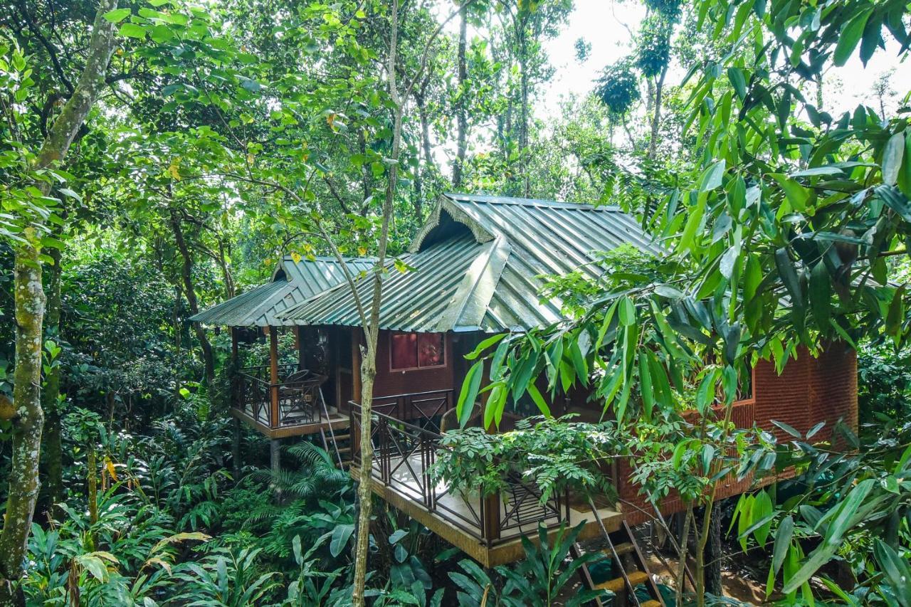 Monsoon Retreats Ecostay- Treehouse Thekkady Extérieur photo