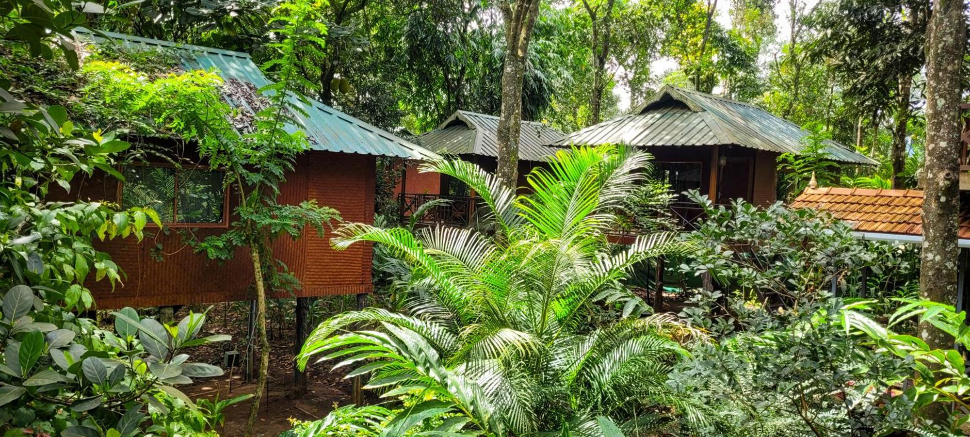 Monsoon Retreats Ecostay- Treehouse Thekkady Extérieur photo