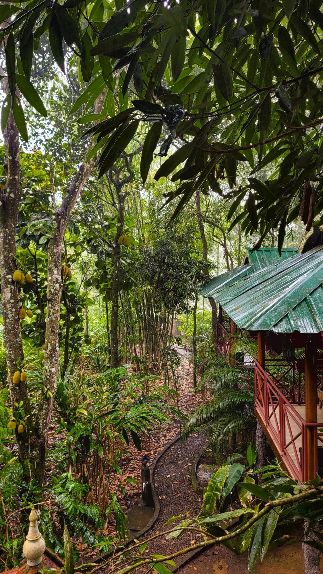 Monsoon Retreats Ecostay- Treehouse Thekkady Extérieur photo