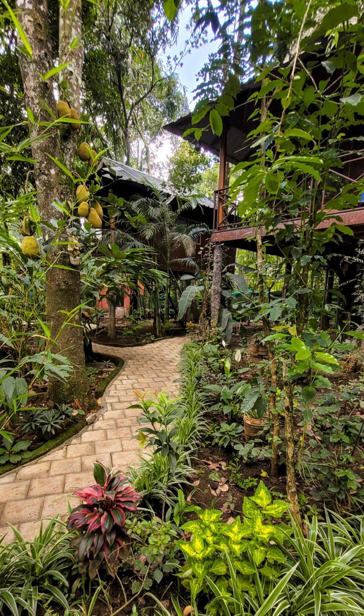 Monsoon Retreats Ecostay- Treehouse Thekkady Extérieur photo