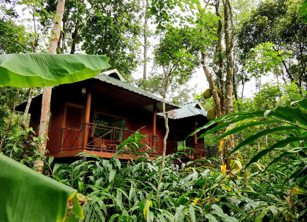 Monsoon Retreats Ecostay- Treehouse Thekkady Extérieur photo