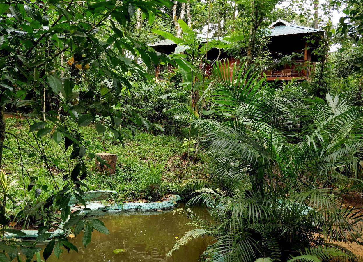Monsoon Retreats Ecostay- Treehouse Thekkady Extérieur photo