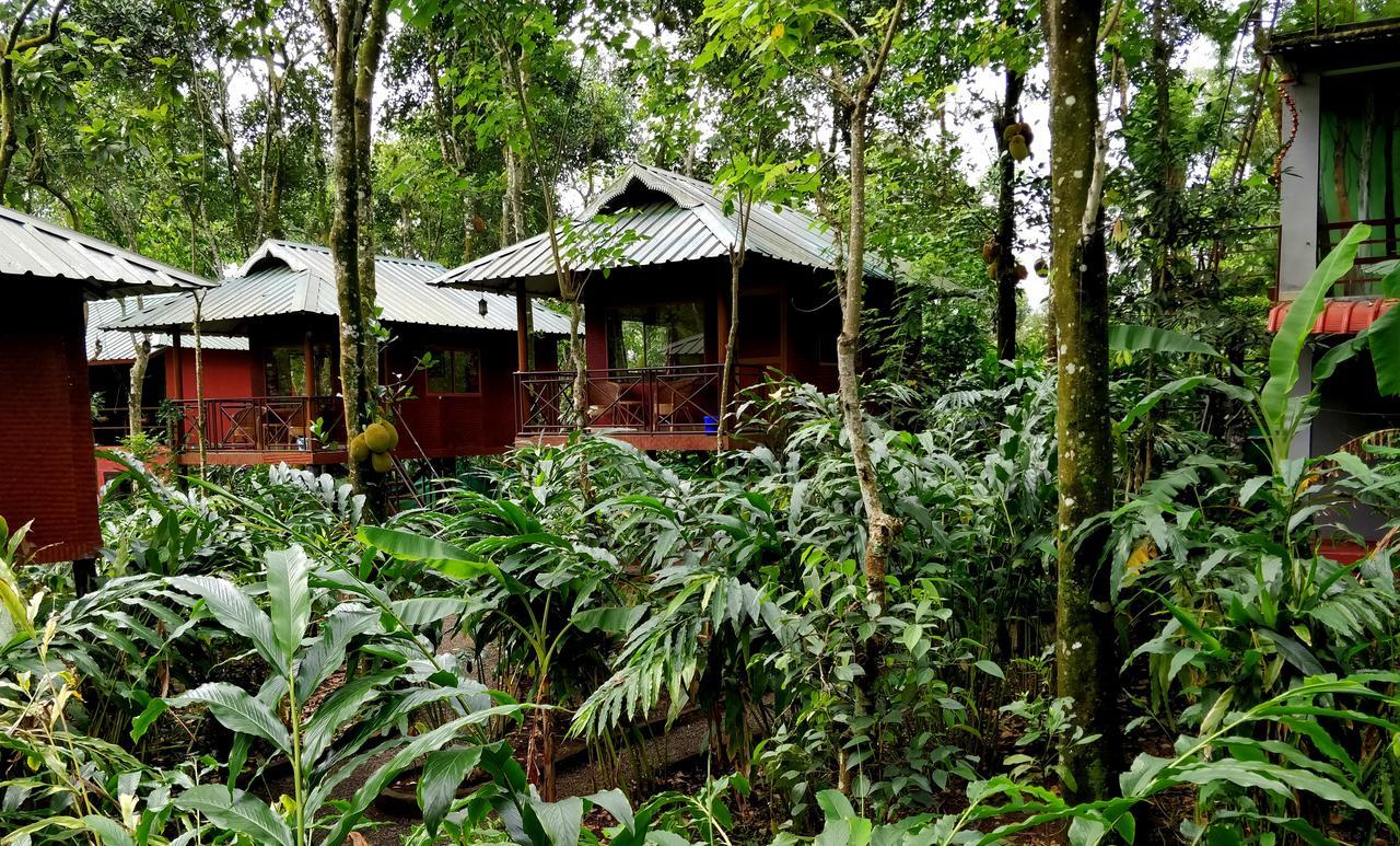 Monsoon Retreats Ecostay- Treehouse Thekkady Extérieur photo