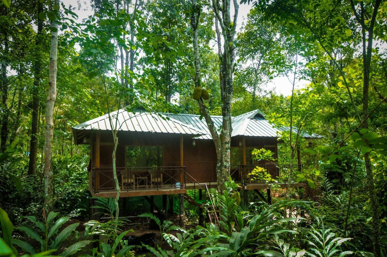 Monsoon Retreats Ecostay- Treehouse Thekkady Extérieur photo