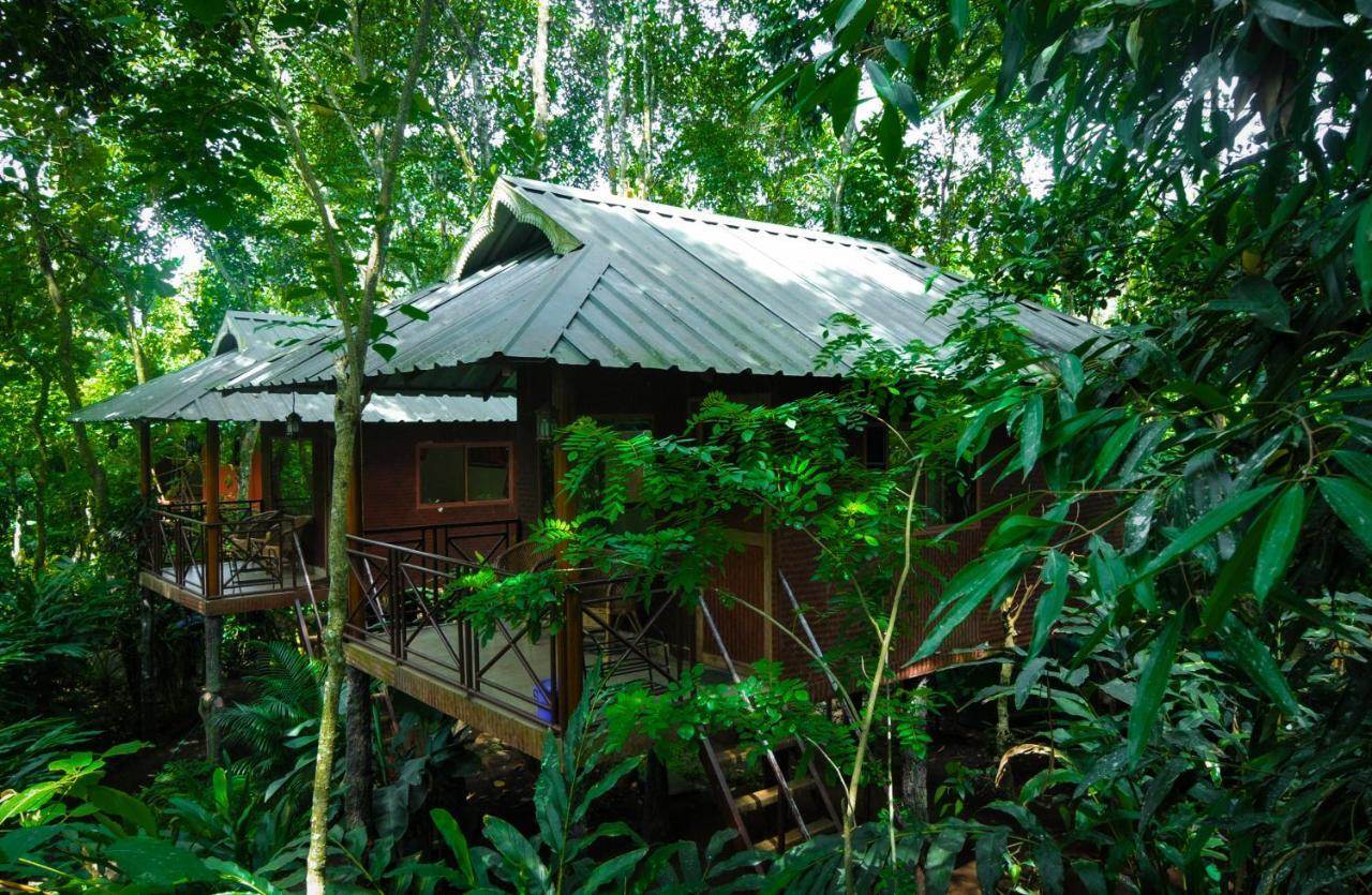 Monsoon Retreats Ecostay- Treehouse Thekkady Extérieur photo