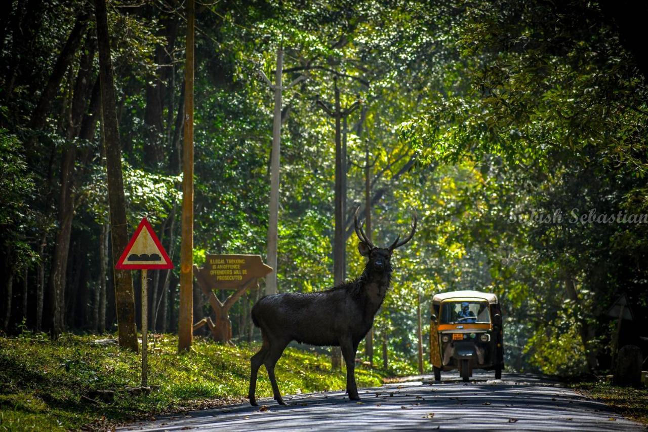 Monsoon Retreats Ecostay- Treehouse Thekkady Extérieur photo